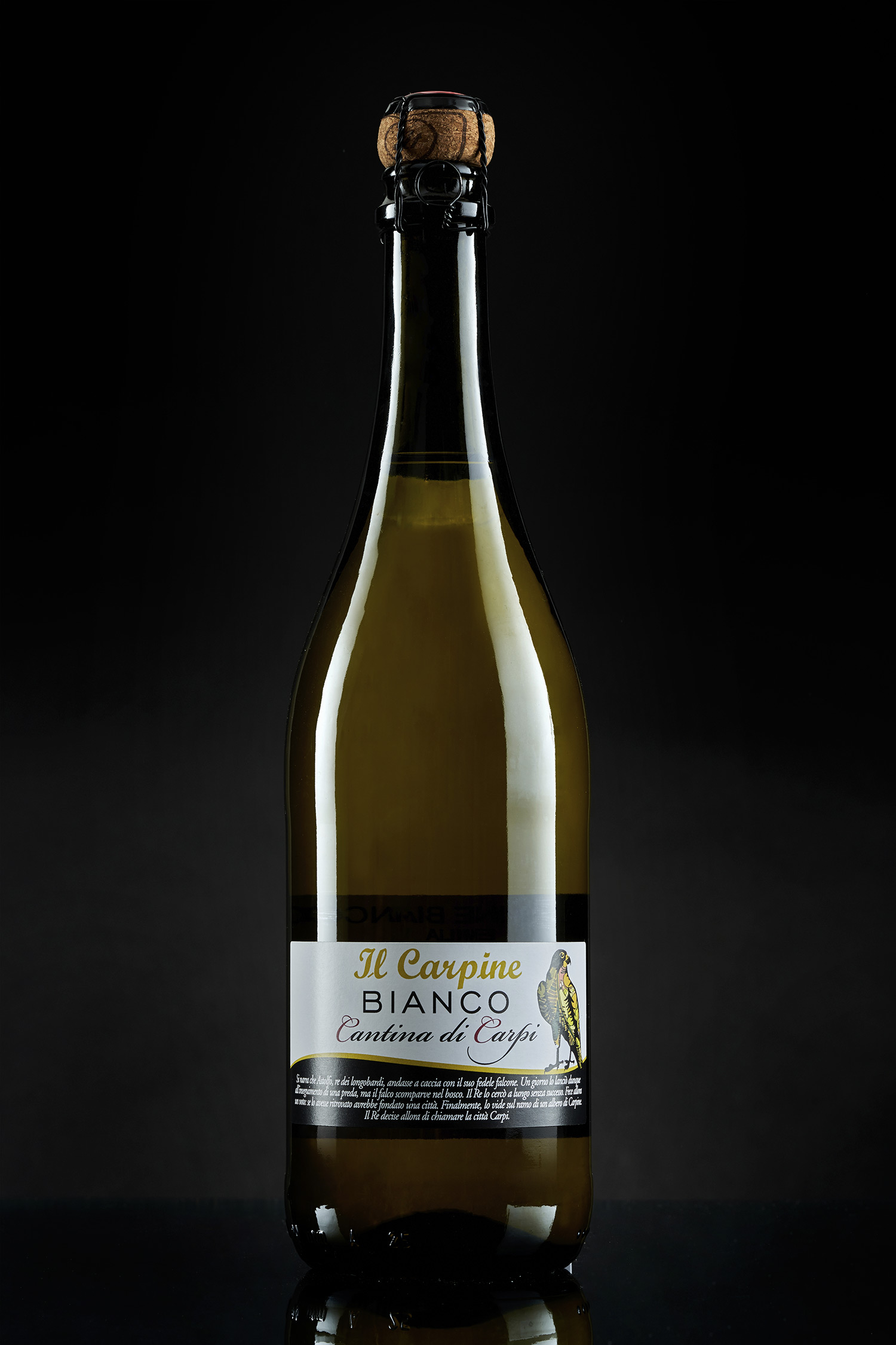 EN 23 Il Carpine Bianco a