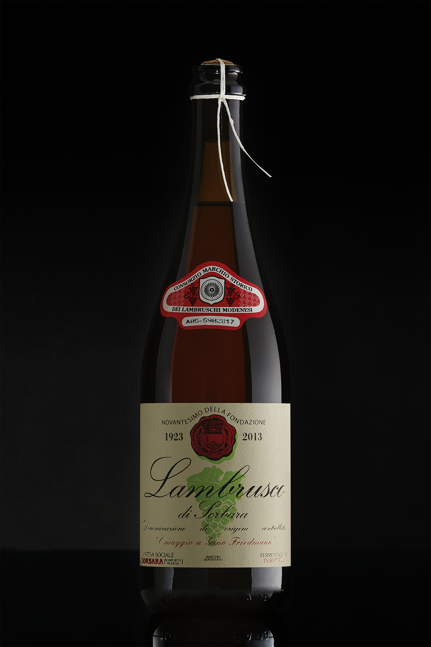 Omaggio-a-Gino-Friedmann-charmat-det1