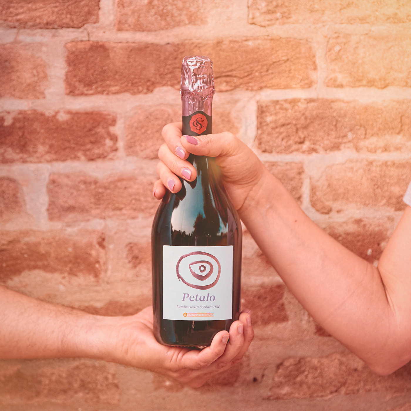 lambrusco_salamino_home_09_2021-mobi