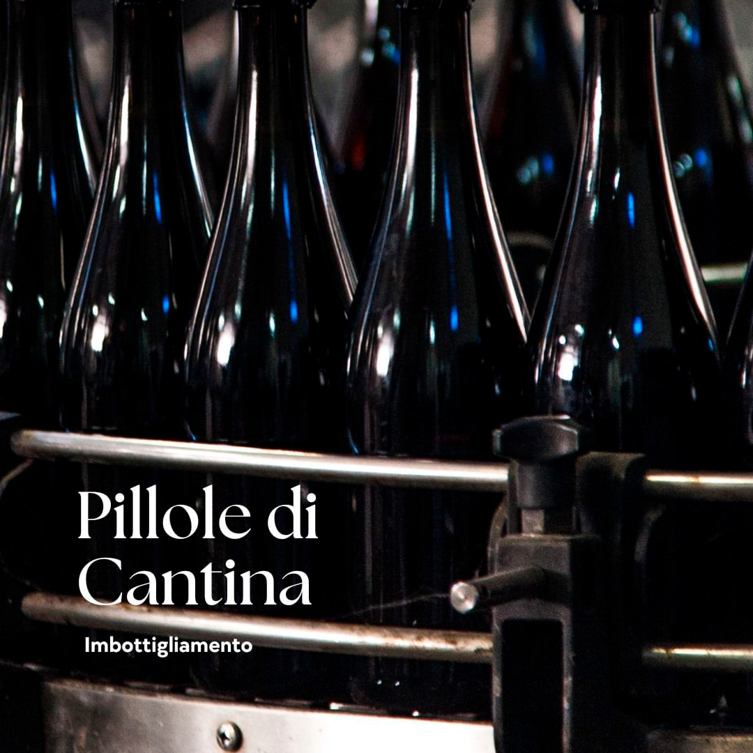 Cantina di Carpi e Sorbara Pillole di Cantina