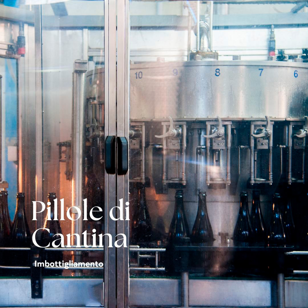 Cantina di Carpi e Sorbara Pillole di Cantina