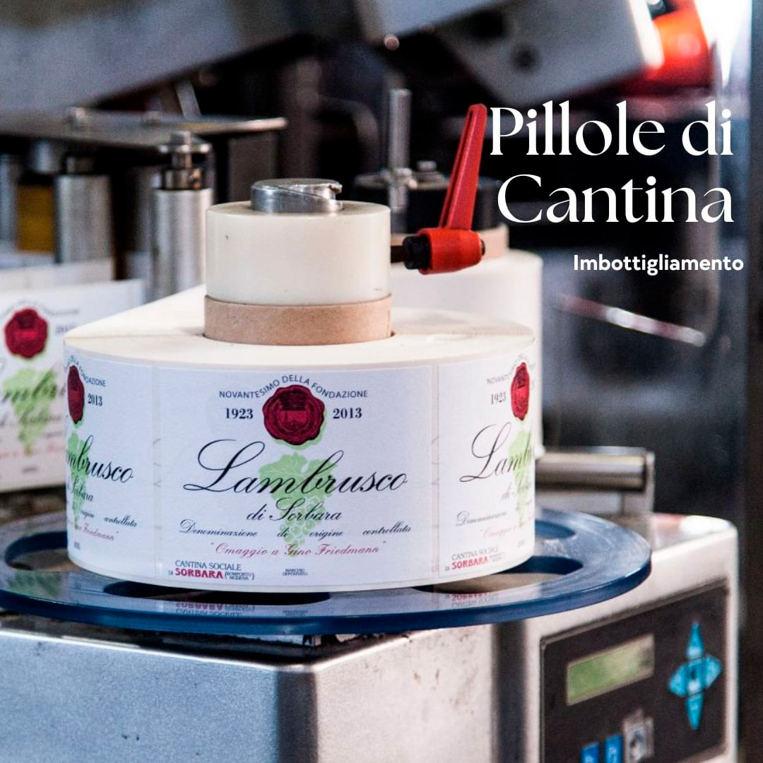 Cantina di Carpi e Sorbara Pillole di Cantina