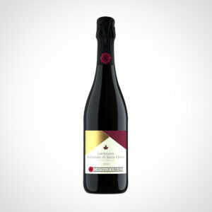 Bottiglia Lambrusco Salamino di Santa Croce DOP secco