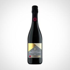 Bottiglia Lambrusco Grasparossa di Castelvetro DOP secco