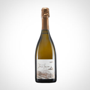 Bottiglia RICORDO DI SAN LUCA Pignoletto Emilia Romagna DOP Spumante Brut